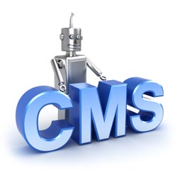 Website Content Management